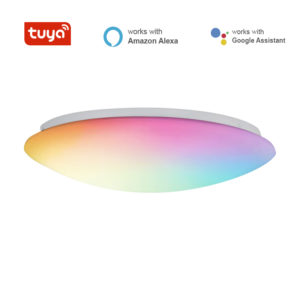 WiFi Ceiling LED Multicolor Light- 24 Watts